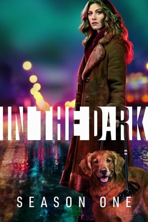 In the Dark 1. évad (2019-04-04) poszter