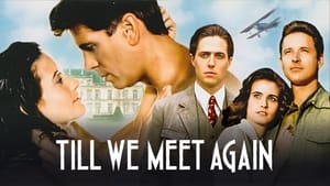 Judith Krantz's Till We Meet Again kép