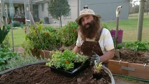 Gardening Australia 32. évad Ep.34 34. epizód