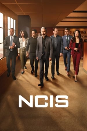 NCIS 21. évad (2024-02-12) poszter