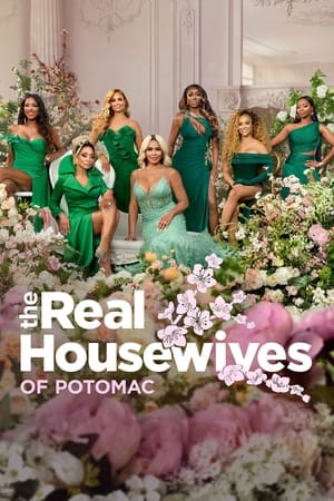 The Real Housewives of Potomac poszter