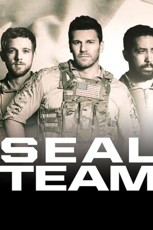 SEAL Team poszter