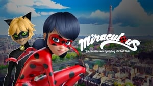 Miraculous - Katicabogár és Fekete Macska kalandjai kép