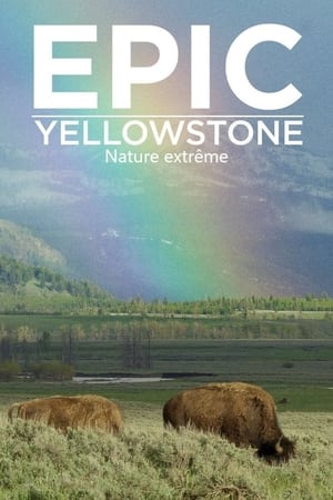 Epic Yellowstone poszter