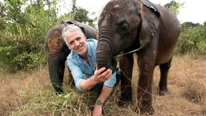 Gordon Buchanan: Elephant Family & Me kép