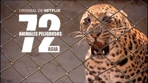 72 Dangerous Animals: Asia kép