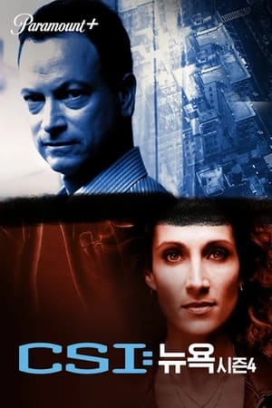 CSI: New York-i helyszínelők poszter