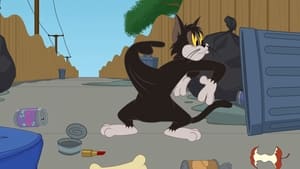 A Tom és Jerry-show 2. évad Ep.72 72. epizód