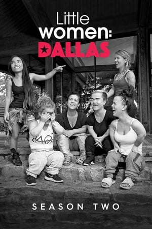 Little Women: Dallas 2. évad (2017-10-04) poszter