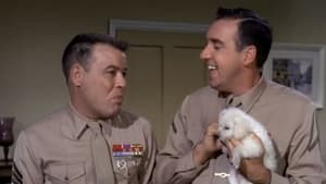 Gomer Pyle, U.S.M.C. 3. évad Ep.11 11. epizód