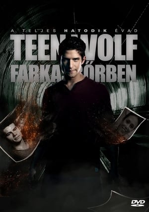 Teen Wolf: Farkasbőrben 6. évad (2016-11-15) poszter