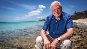 David Attenborough: A Nagy-korallzátony kép