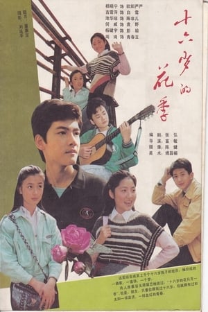 十六岁的花季 1. évad (1990-03-06) poszter