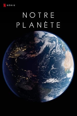 Our Planet - Bolygónk csodái poszter