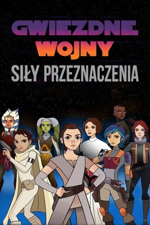 Star Wars: A sors erői poszter