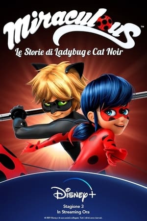 Miraculous - Katicabogár és Fekete Macska kalandjai poszter