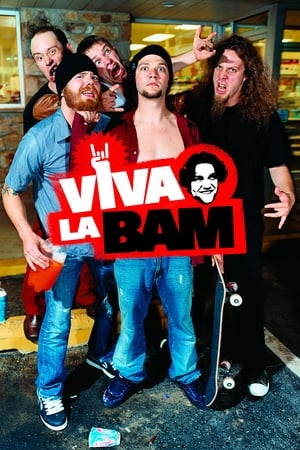 Viva La Bam poszter