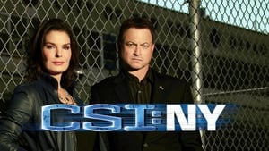 CSI: New York-i helyszínelők kép