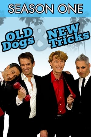 Old Dogs & New Tricks 1. évad (2011-07-30) poszter