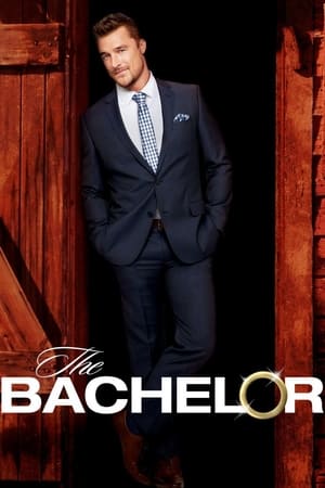 The Bachelor 19. évad (2015-01-04) poszter