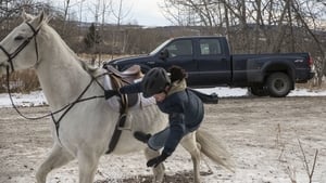 Heartland 6. évad Ep.17 17. epizód