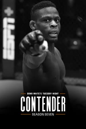 Dana White's Tuesday Night Contender Series 7. évad (2023-08-08) poszter