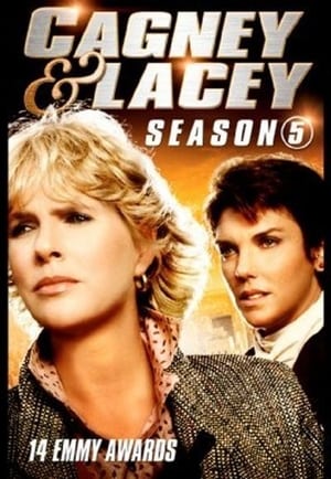 Cagney & Lacey 5. évad (1985-09-30) poszter