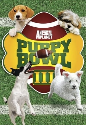 Puppy Bowl 3. évad (2007-02-04) poszter