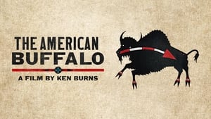 The American Buffalo kép