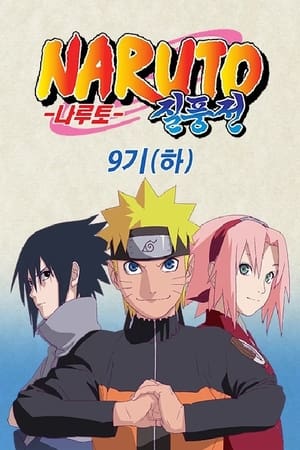 Naruto Shippuden poszter