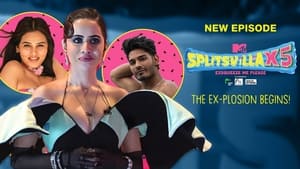 MTV Splitsvilla kép