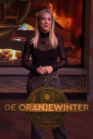 De Oranjewinter poszter