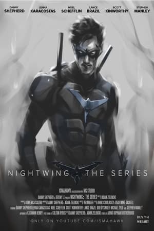 Nightwing: The Series