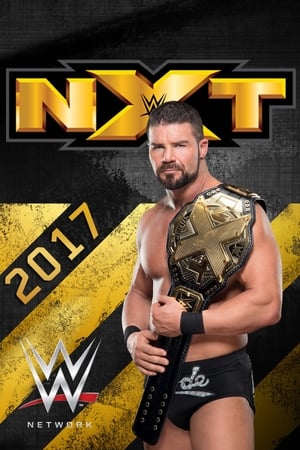 WWE NXT 11. évad (2017-01-04) poszter