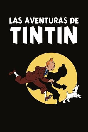 Tintin kalandjai poszter