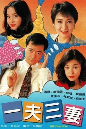 一夫三妻 1. évad (1994-01-31) poszter