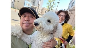 バナナマン日村が歩く!ウォーキングのひむ太郎 1. évad Ep.75 75. epizód