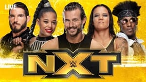 WWE NXT kép