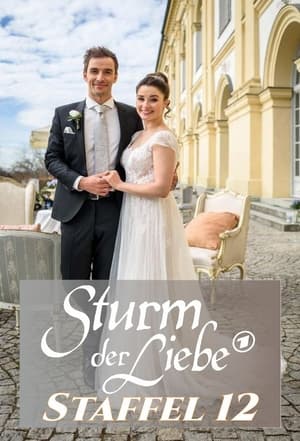 Sturm der Liebe 12. évad (2016-07-26) poszter