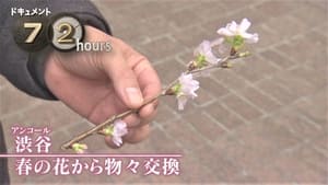 ドキュメント72時間 9. évad Ep.6 6. epizód