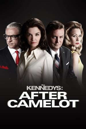 A Kennedy család: Camelot után