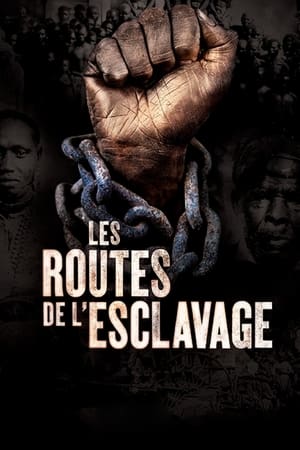 Les routes de l'esclavage poszter