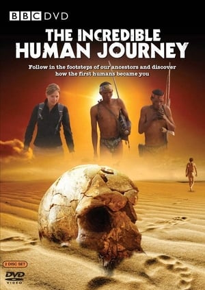 The Incredible Human Journey poszter