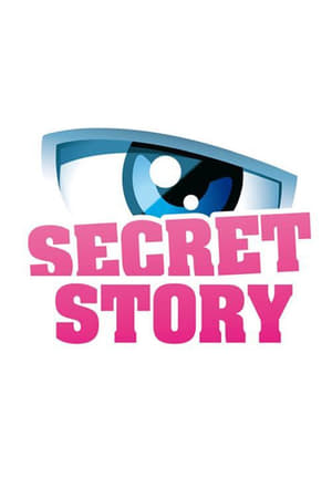 Secret Story poszter