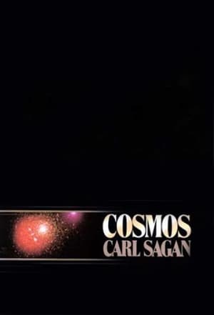 Carl Sagan: Kozmosz poszter