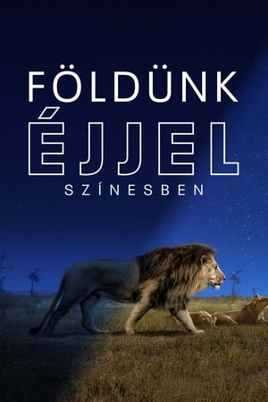 Földünk éjjel színesben 1. évad (2020-12-04) poszter