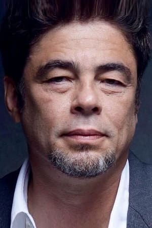 Benicio del Toro profil kép