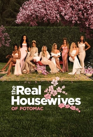 The Real Housewives of Potomac poszter