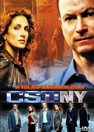 CSI: New York-i helyszínelők 3. évad (2006-09-20) poszter