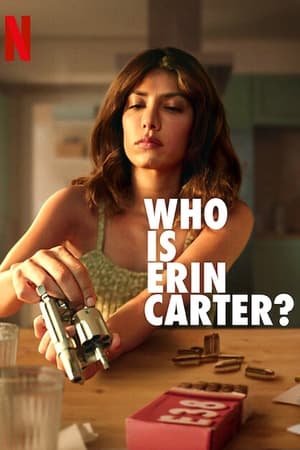 Ki az az Erin Carter? poszter